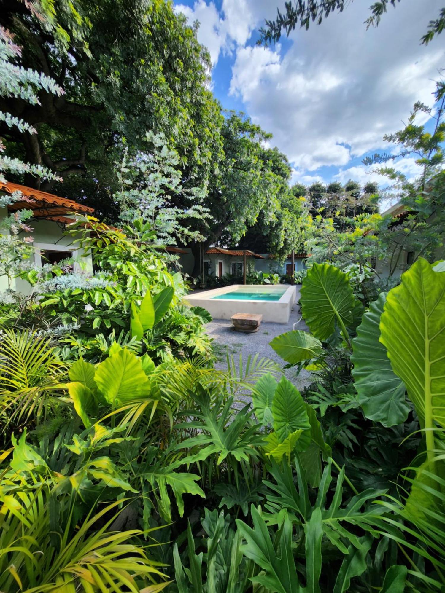 Hotel Boutique Villa Escondida, A Pasos De Lo Mejor En Tlaquepaque Extérieur photo